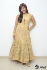 Anjali at Geethanjali Movie Success Meet